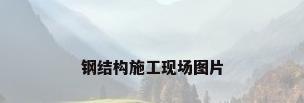 钢结构施工现场图片