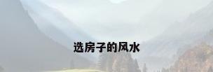 选房子的风水