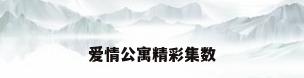 爱情公寓精彩集数