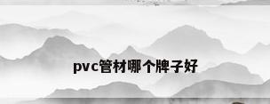 pvc管材哪个牌子好
