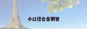 小口径合金钢管