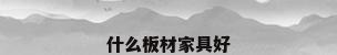 什么板材家具好