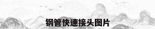 钢管快速接头图片