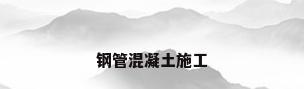 钢管混凝土施工
