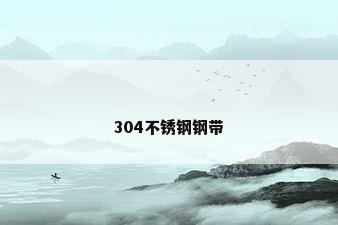 304不锈钢钢带