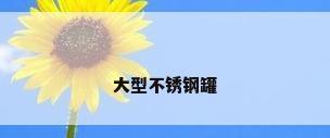 大型不锈钢罐