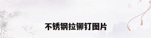 不锈钢拉铆钉图片