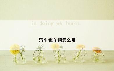 汽车锁车锁怎么用