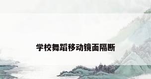 学校舞蹈移动镜面隔断