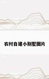 农村自建小别墅图片