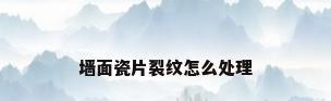 墙面瓷片裂纹怎么处理