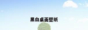 黑白桌面壁纸