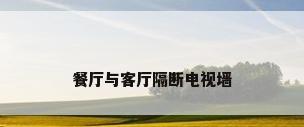 餐厅与客厅隔断电视墙