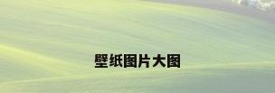 壁纸图片大图