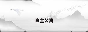 白金公寓