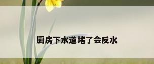 厨房下水道堵了会反水
