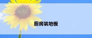 厨房装地板