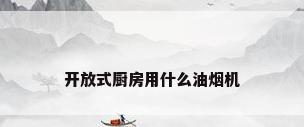 开放式厨房用什么油烟机