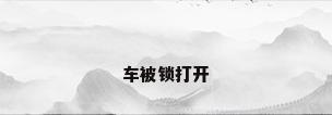 车被锁打开