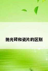 抛光砖和瓷片的区别