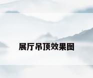 展厅吊顶效果图