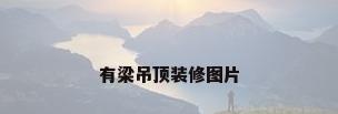 有梁吊顶装修图片
