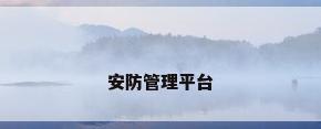 安防管理平台