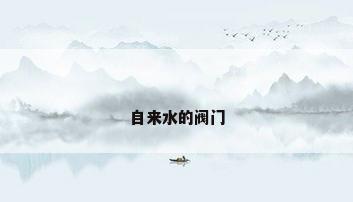 自来水的阀门
