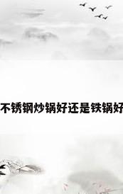 不锈钢炒锅好还是铁锅好