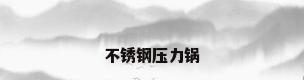 不锈钢压力锅