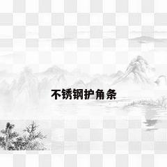 不锈钢护角条
