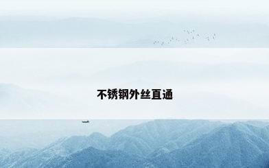 不锈钢外丝直通