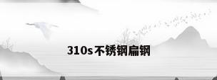 310s不锈钢扁钢