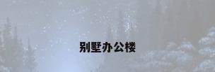 别墅办公楼