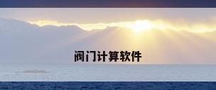 阀门计算软件