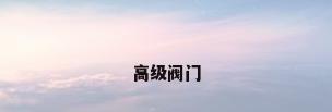 高级阀门