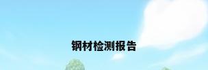 钢材检测报告