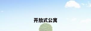 开放式公寓