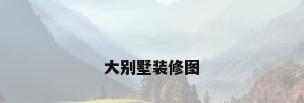 大别墅装修图