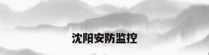 沈阳安防监控