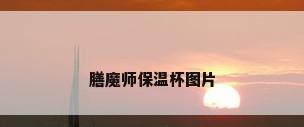 膳魔师保温杯图片