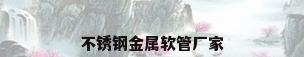 不锈钢金属软管厂家
