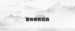 整体橱柜招商