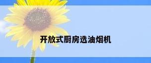 开放式厨房选油烟机
