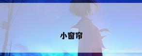 小窗帘