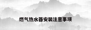 燃气热水器安装注意事项