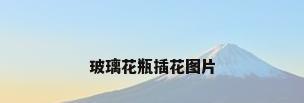 玻璃花瓶插花图片