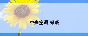 中央空调 采暖