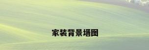 家装背景墙图