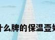 什么牌的保温壶好